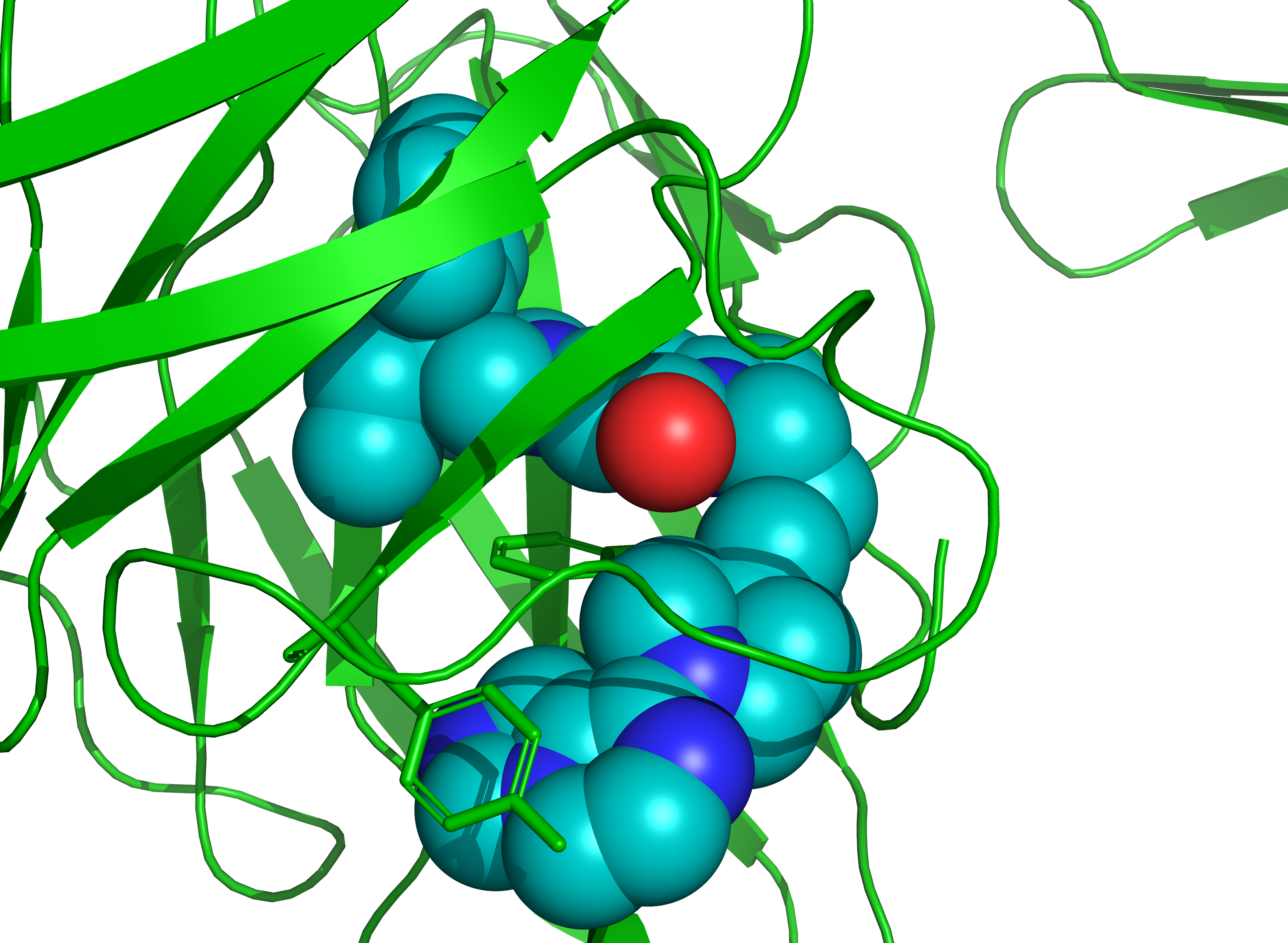 Protein Structure - CPK Model